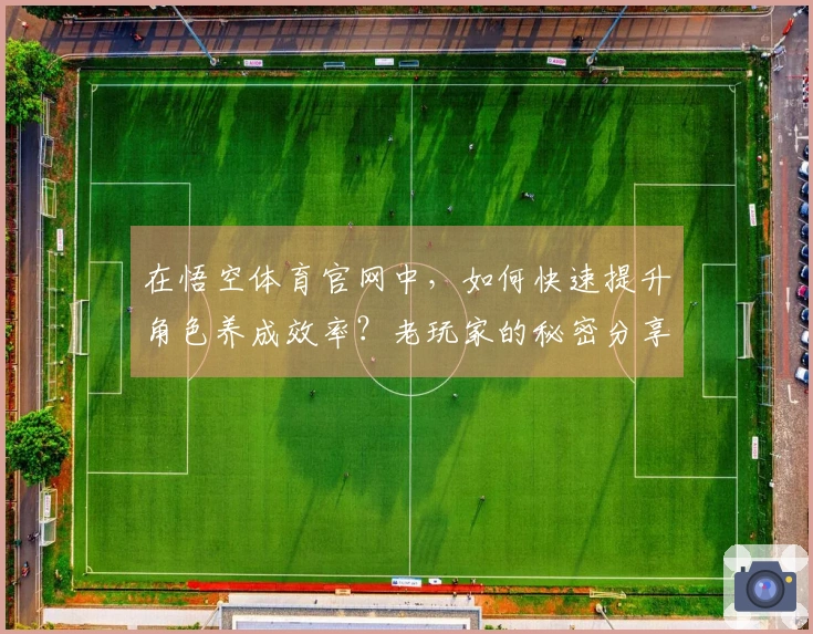 在悟空体育官网中，如何快速提升角色养成效率？老玩家的秘密分享！