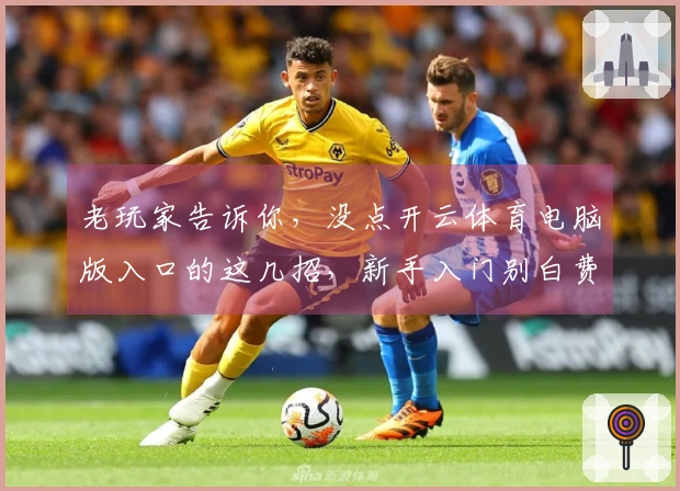 老玩家告诉你，没点开云体育电脑版入口的这几招，新手入门别白费力气。
