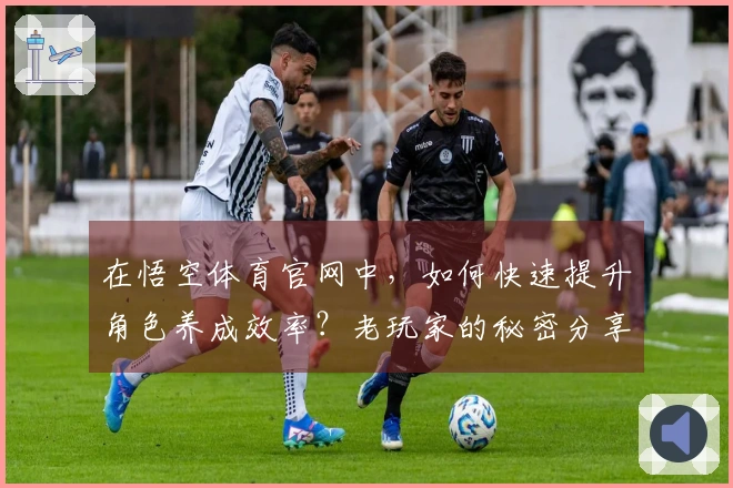 在悟空体育官网中，如何快速提升角色养成效率？老玩家的秘密分享！