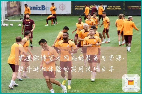 掌握欧博官方网站的装备与资源，提升游戏体验的实用技巧分享
